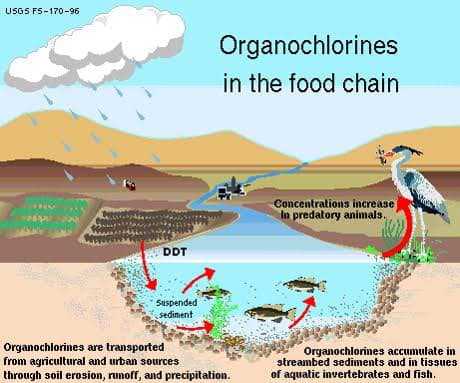 ยากำจัดศัตรูพืชชนิด organochlorine